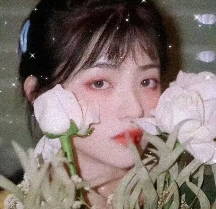 病态领土